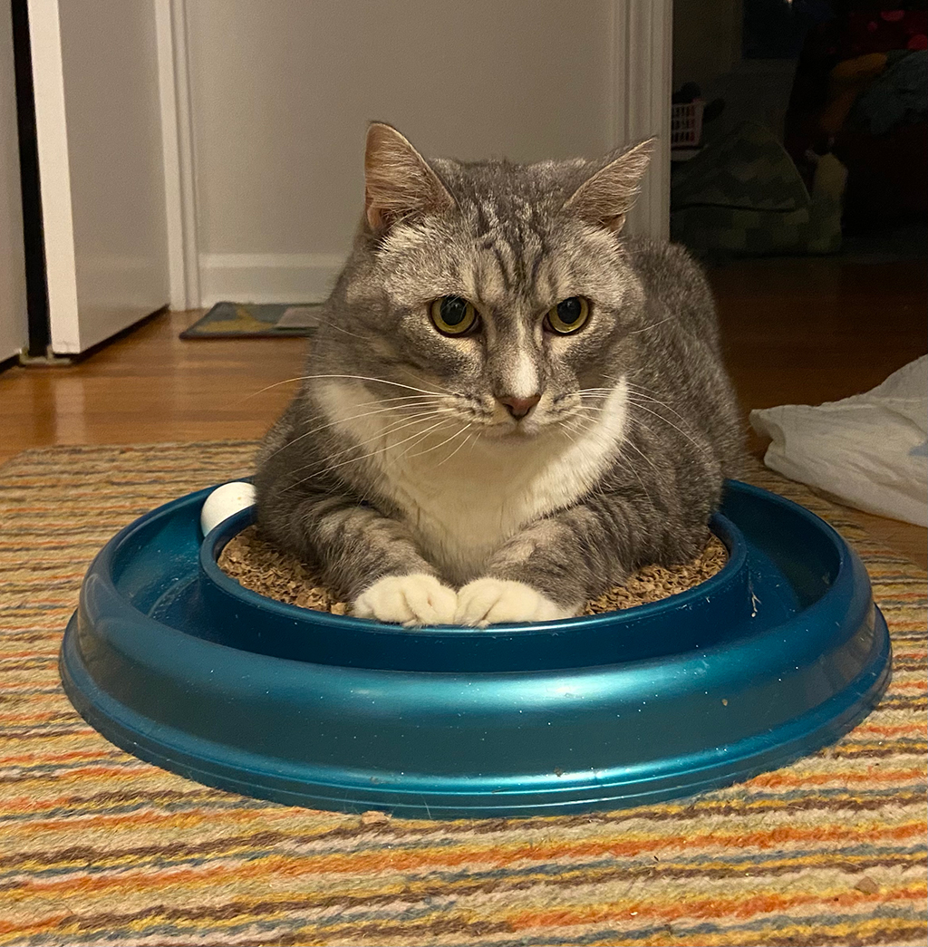 Horizontal Scratcher